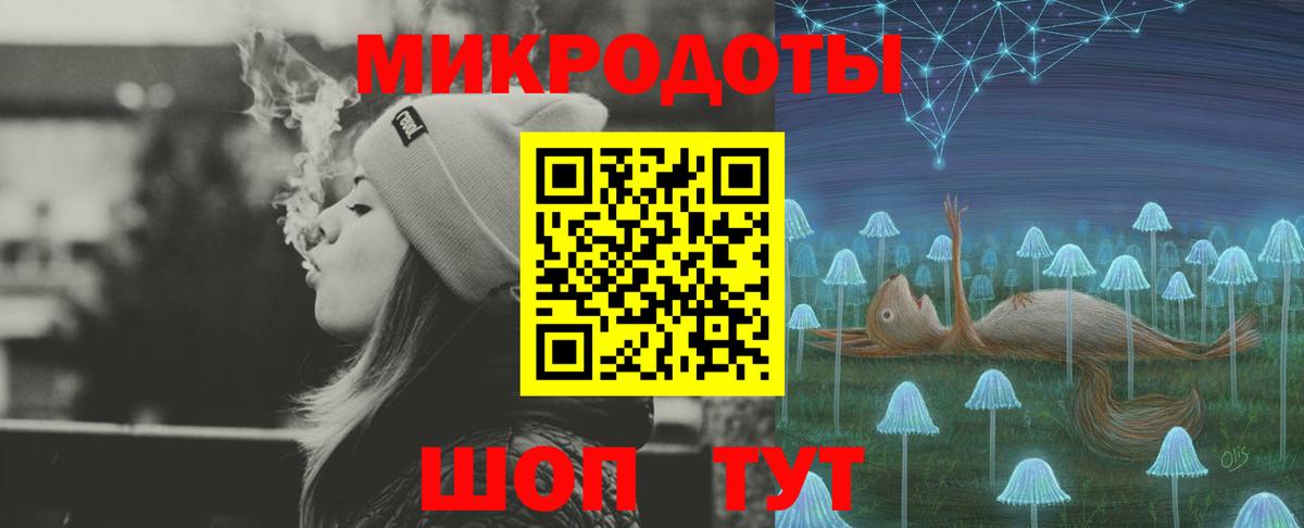Псилоцибиновые грибы Psilocybine cubensis Ялта